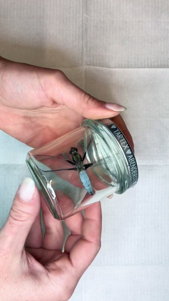 TikTok video thumbnail by fux.kunst