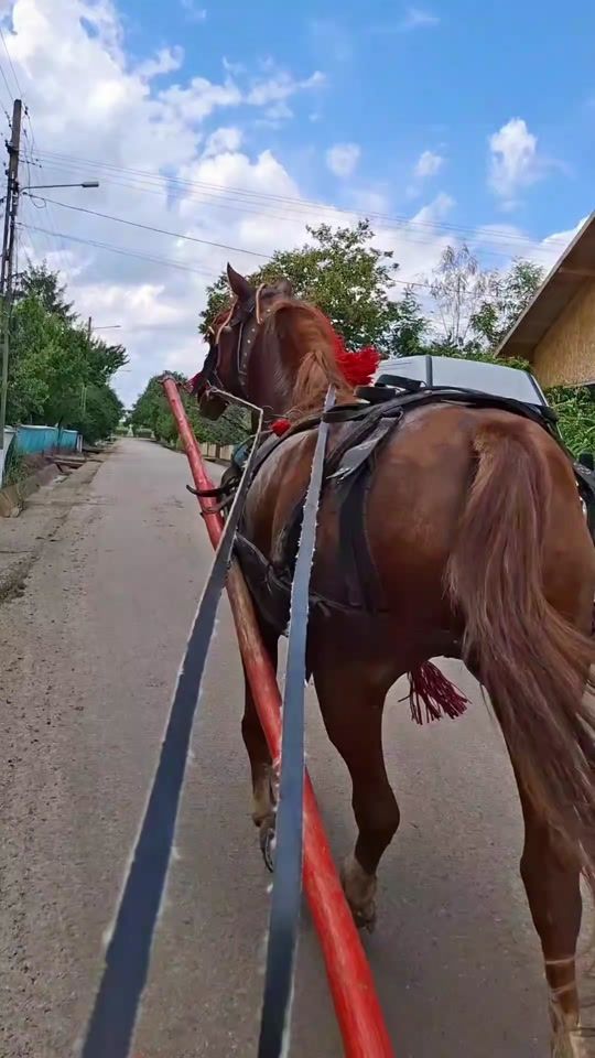 TikTok video thumbnail by bogdan.hanachiuc