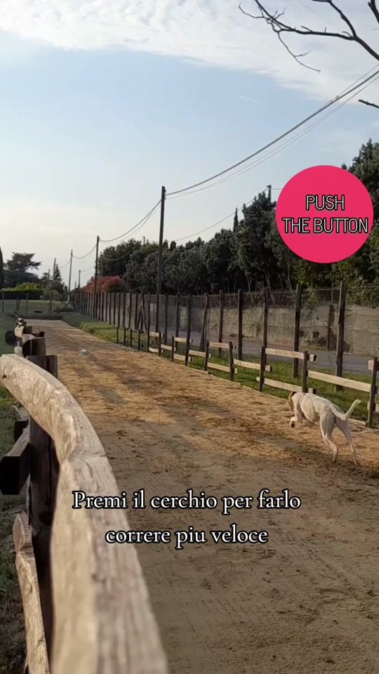 TikTok video thumbnail by ale_capitol_k