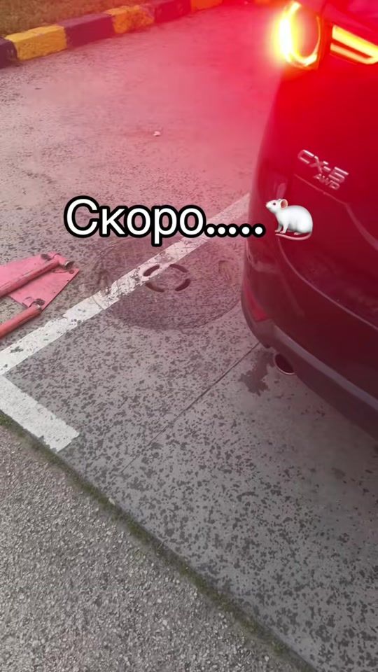 TikTok video thumbnail by stelio.9969