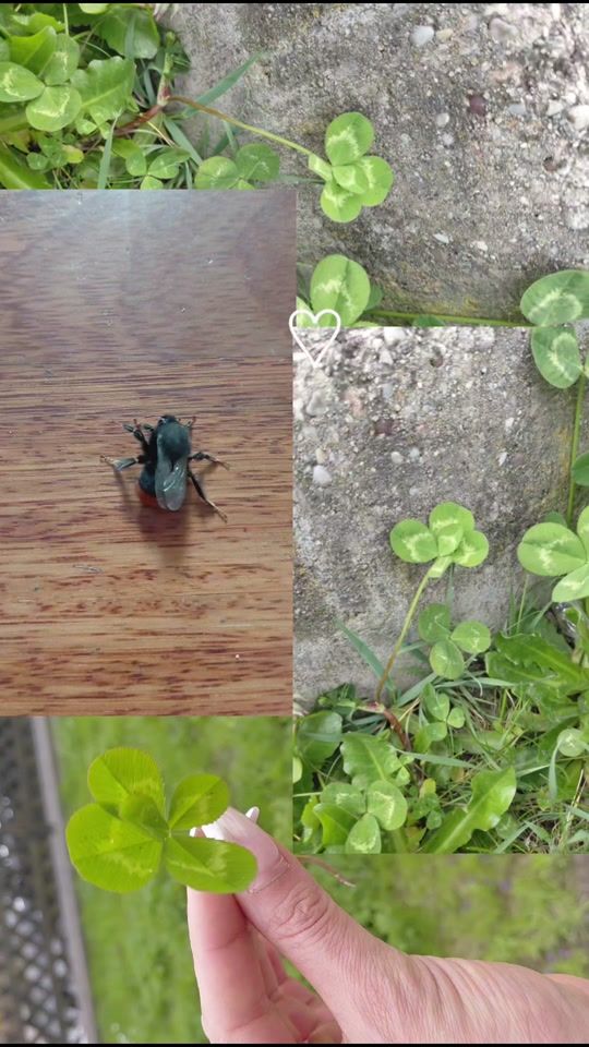 TikTok video thumbnail by adrienn.osvat