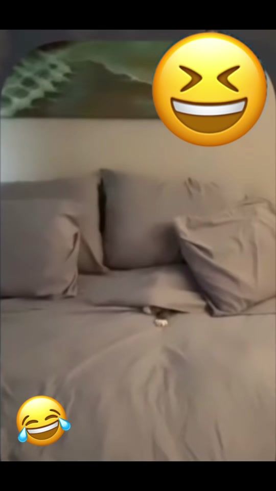 TikTok video thumbnail by bladisway