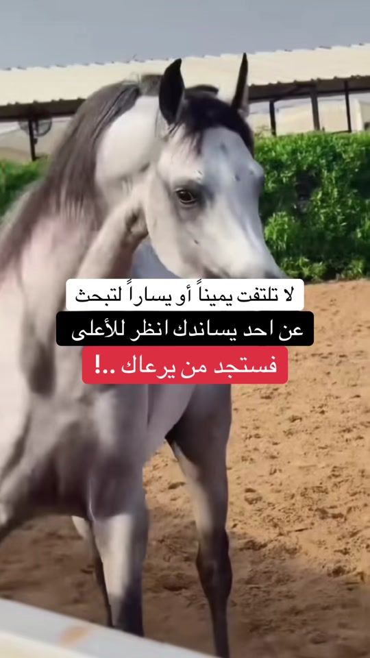 TikTok video thumbnail by nisrino444