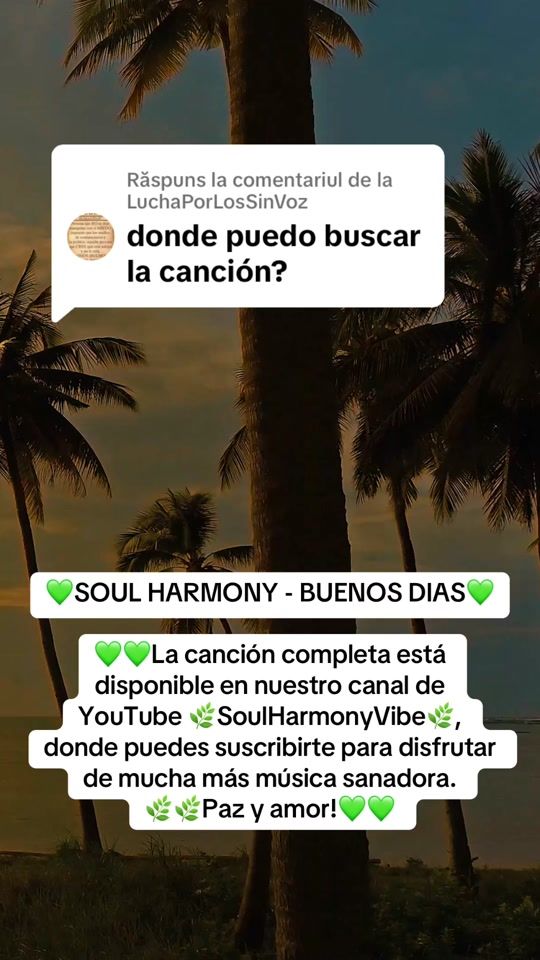 TikTok video thumbnail by soulharmonyvibe