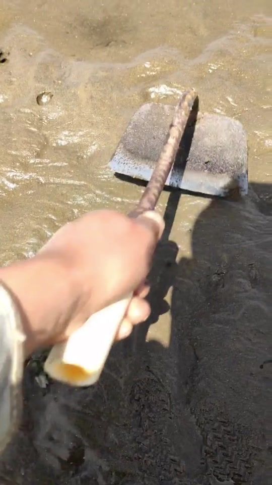 TikTok video thumbnail by ejected.eruptions
