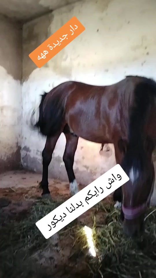 TikTok video thumbnail by cho______aou_____ib