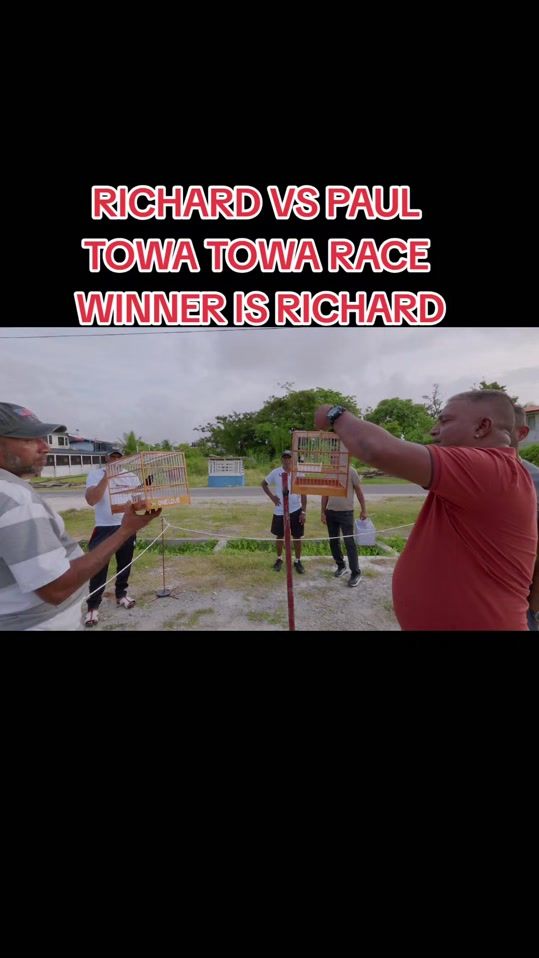 TikTok video thumbnail by guyanabirds