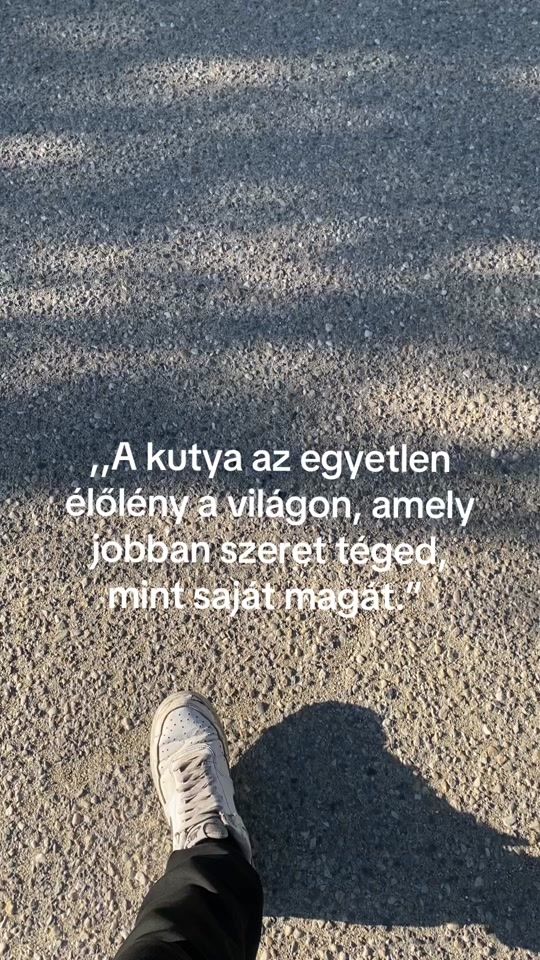 TikTok video thumbnail by rontozsolt3