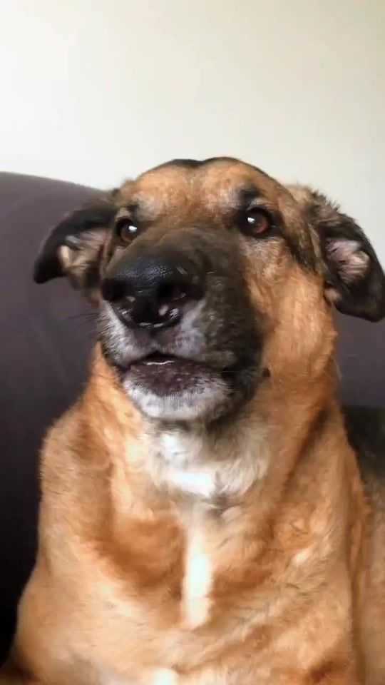 TikTok video thumbnail by angyalfold2
