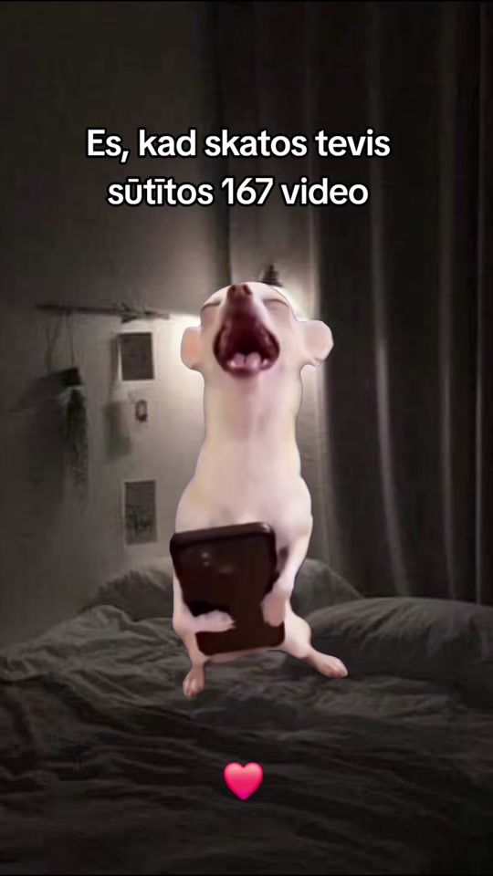 TikTok video thumbnail by pritona_lelle