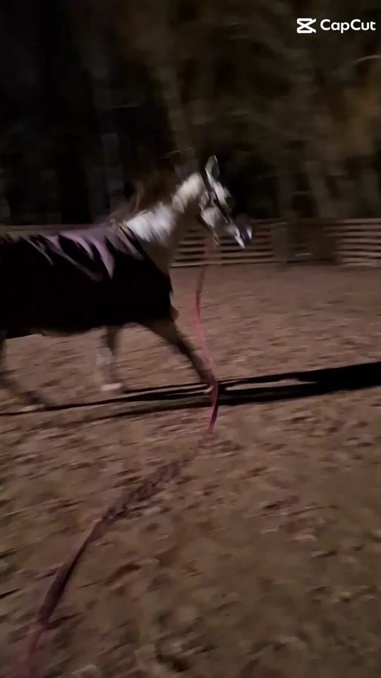 TikTok video thumbnail by maike_nlp