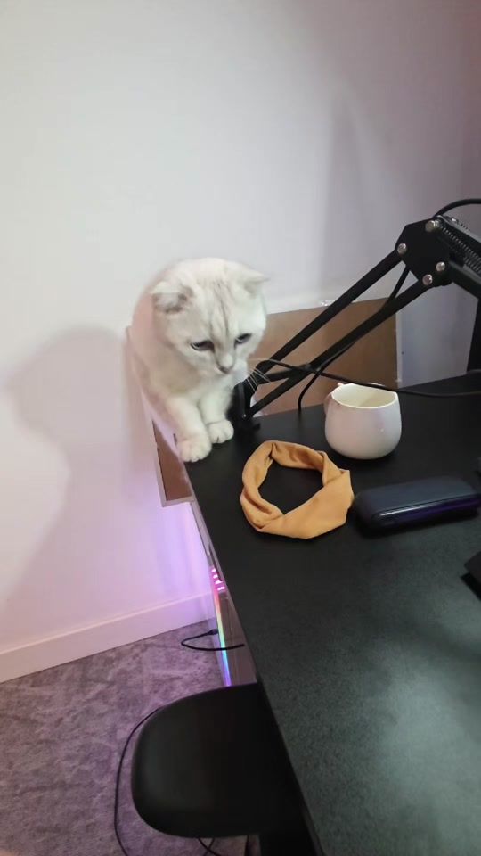 TikTok video thumbnail by antonia.nuckle