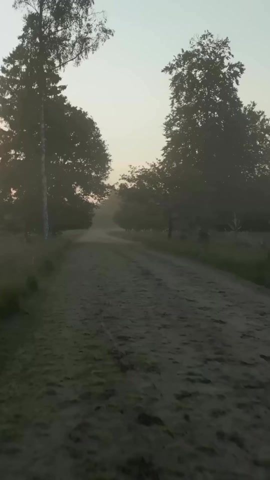 TikTok video thumbnail by serbiskforeningras