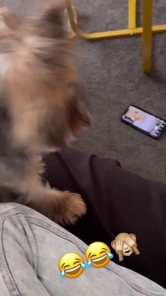 TikTok video thumbnail by raduskaachiara