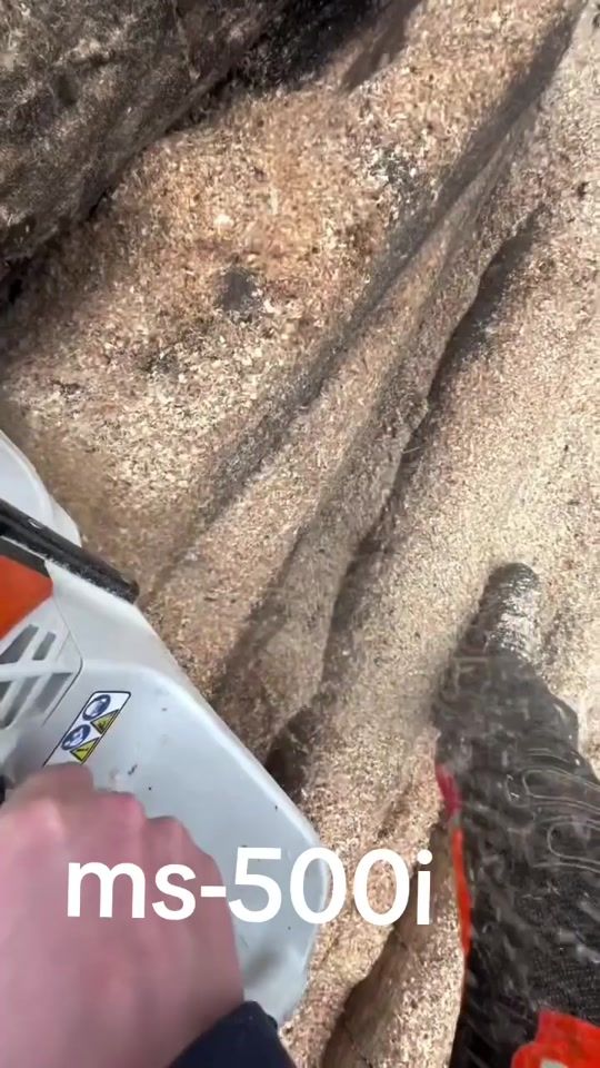 TikTok video thumbnail by forestmaster__0