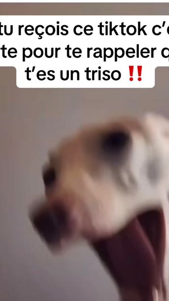 TikTok video thumbnail by official_anto59