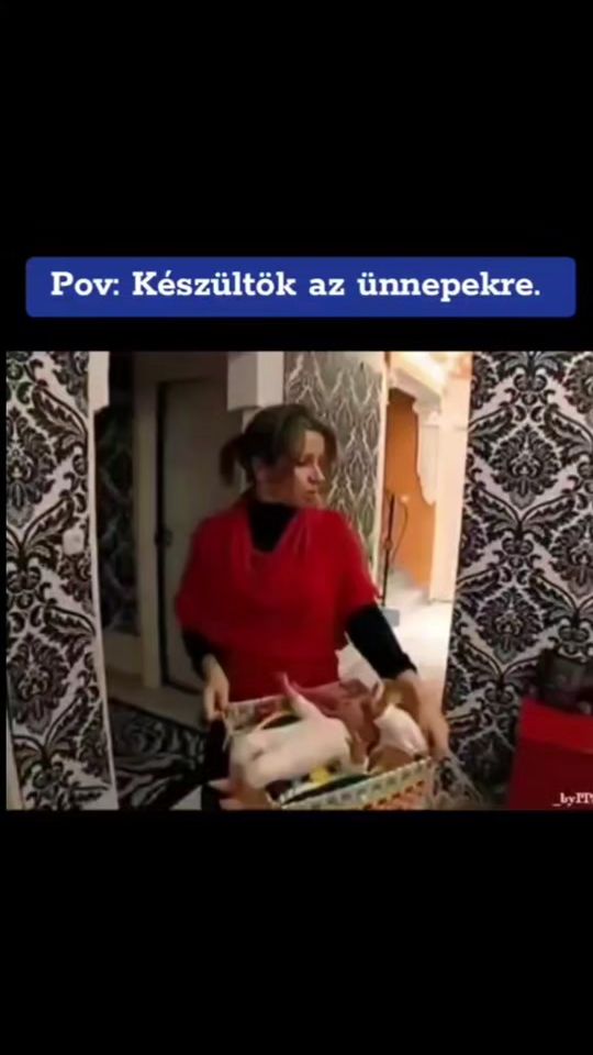 TikTok video thumbnail by szebi099