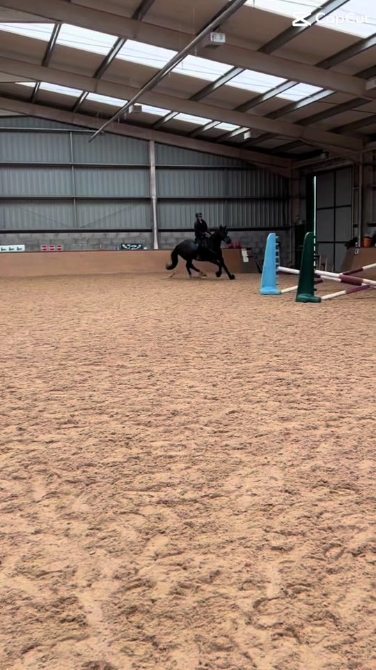 TikTok video thumbnail by avaequinex
