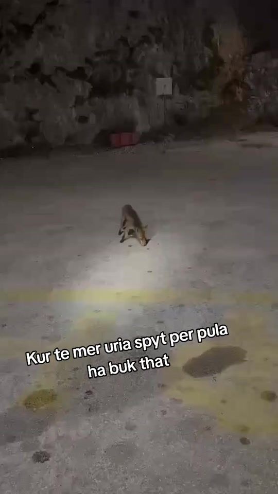 TikTok video thumbnail by krist.filipi