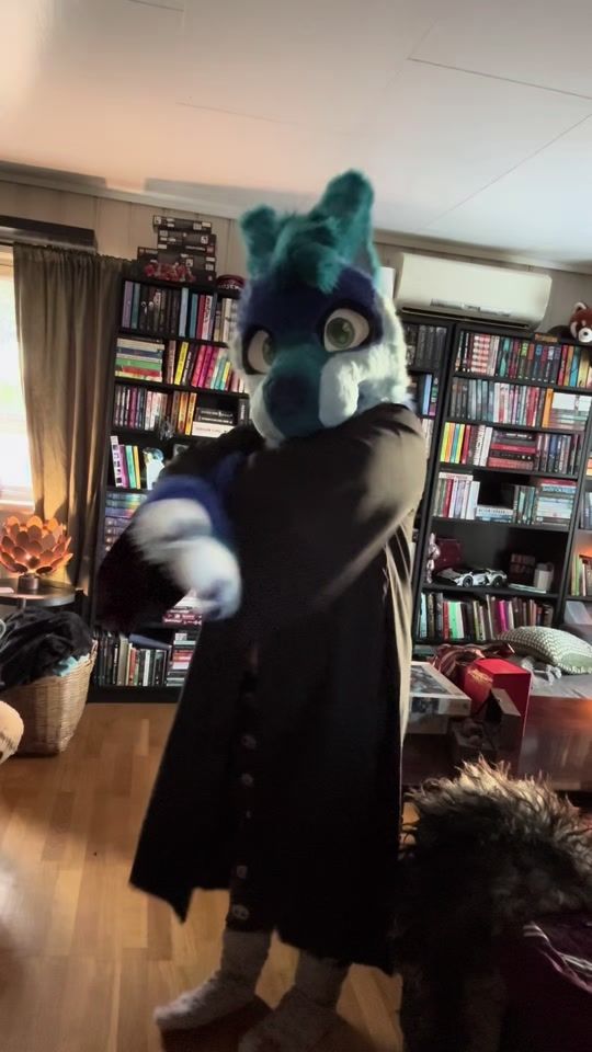 TikTok video thumbnail by fetchpuppy