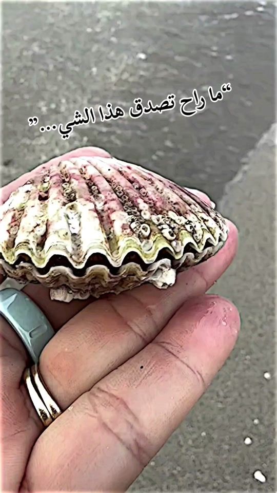 TikTok video thumbnail by samir_madrid01
