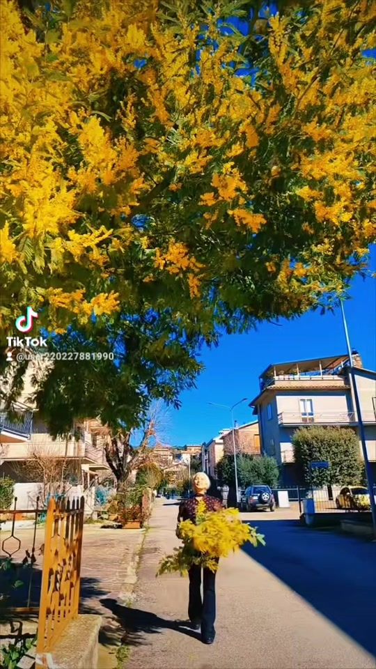 TikTok video thumbnail by user220227881990