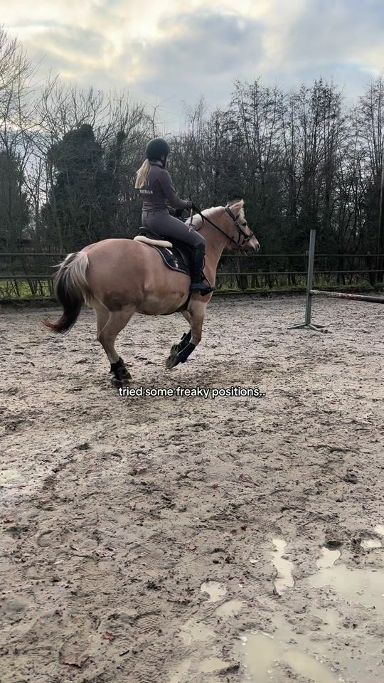 TikTok video thumbnail by equestrian.yavvie