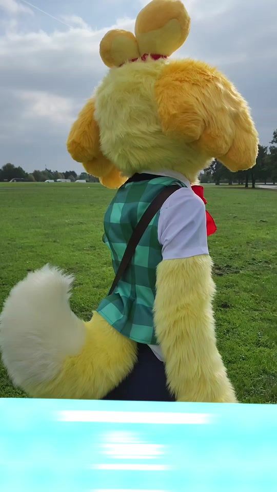 TikTok video thumbnail by guard_mutt