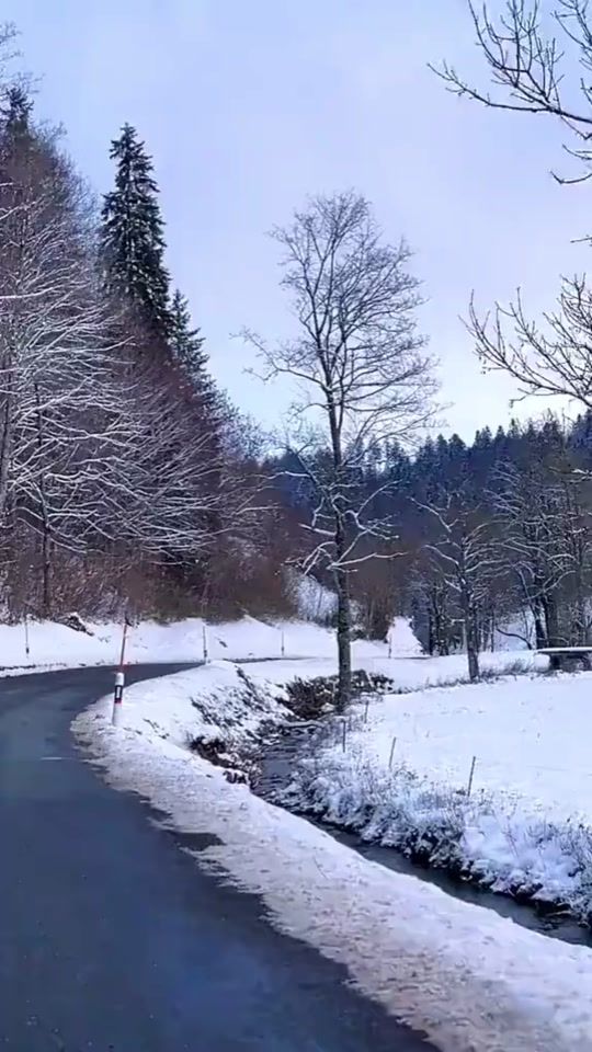 TikTok video thumbnail by adrianciuteanu