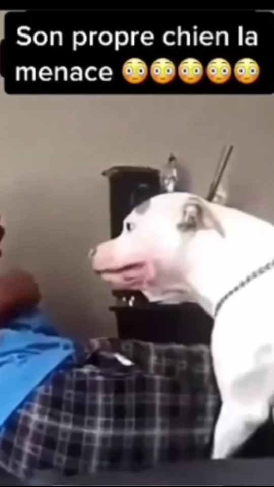 TikTok video thumbnail by alexandra.0236