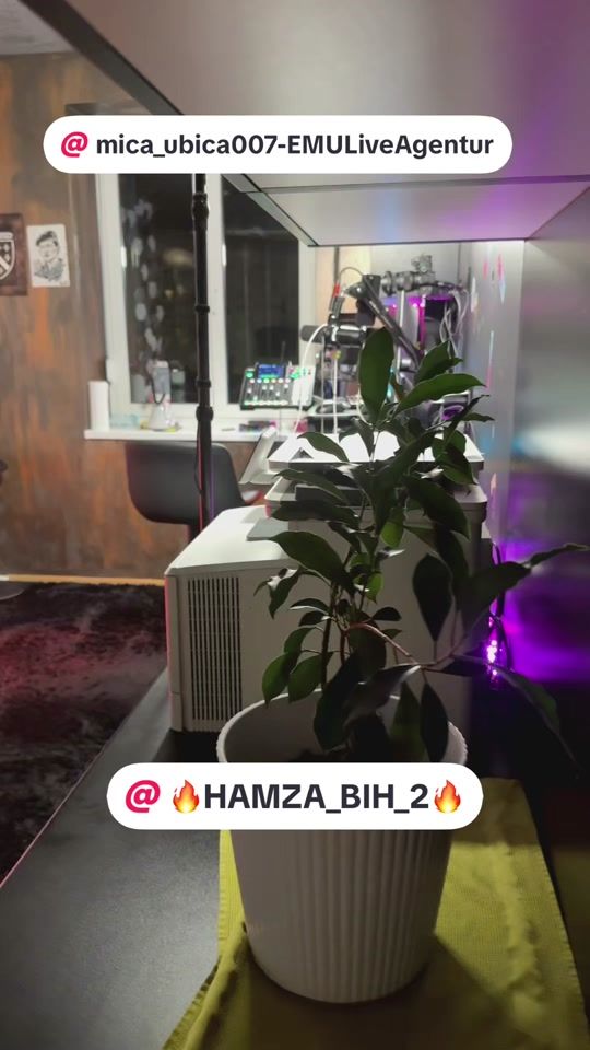 TikTok video thumbnail by hamza_bih
