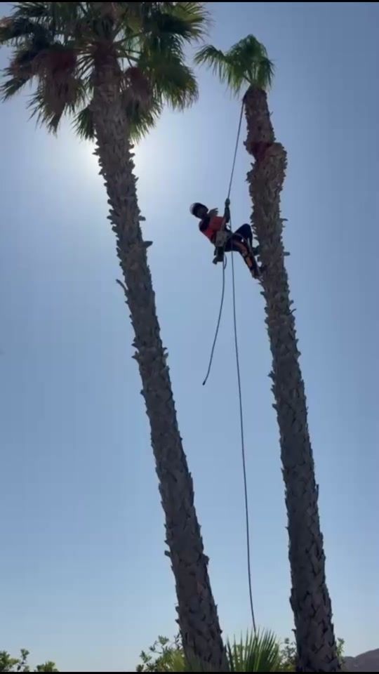 TikTok video thumbnail by vicentegarcia790