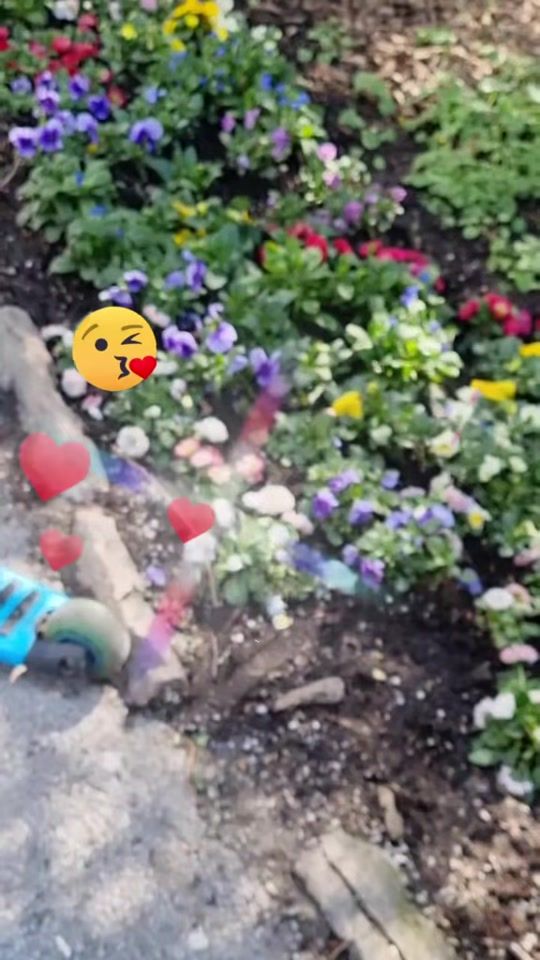 TikTok video thumbnail by herat.queen