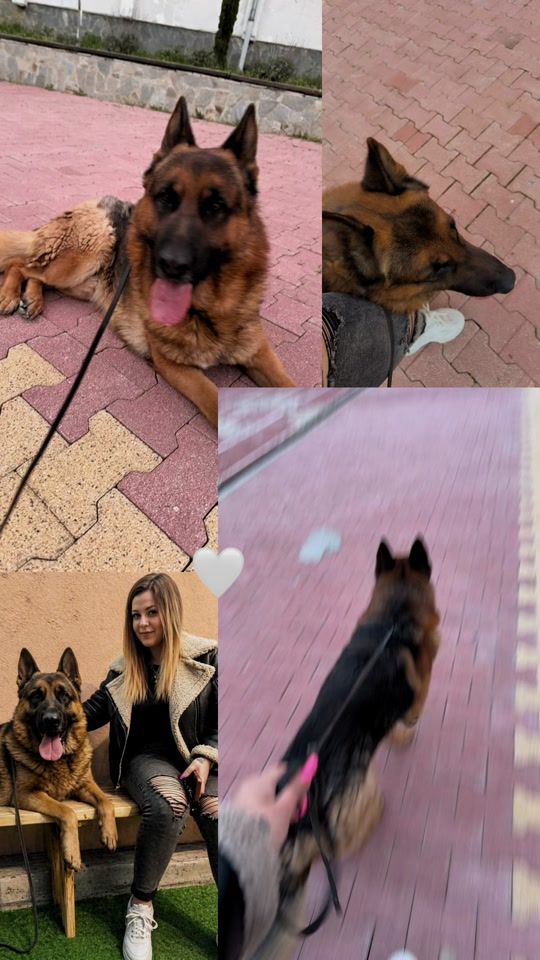 TikTok video thumbnail by sevikaramiteva69