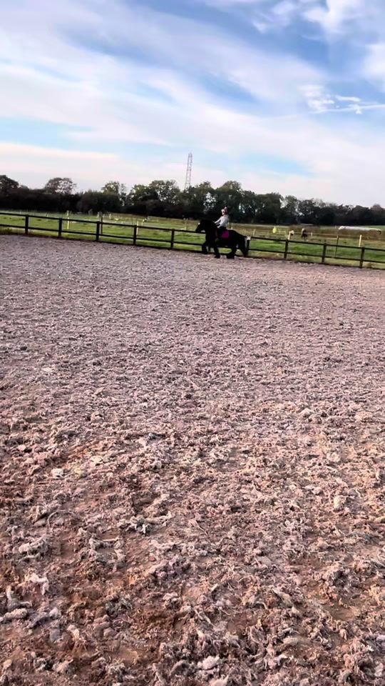 TikTok video thumbnail by equi.faithh