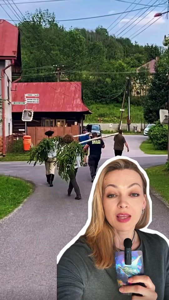 TikTok video thumbnail by slodiary