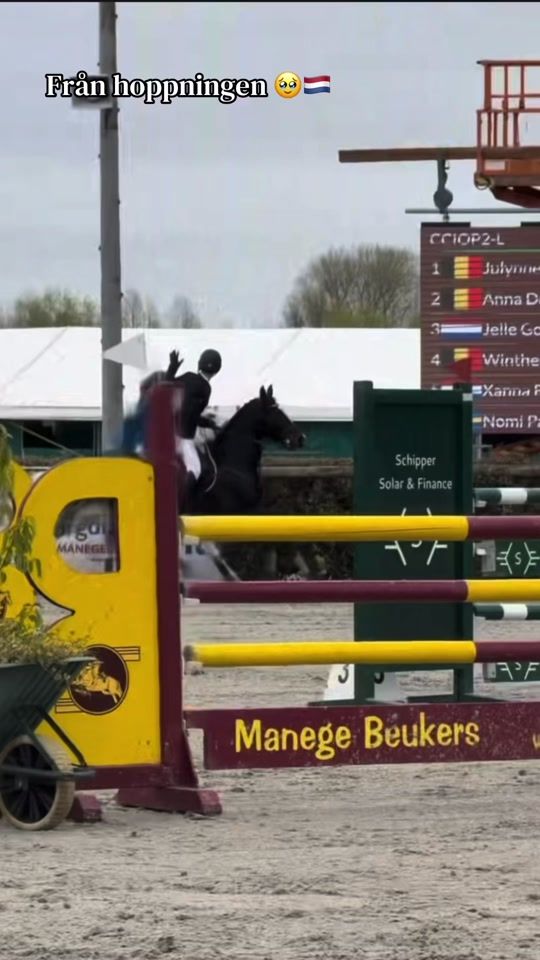 TikTok video thumbnail by _alice_eventing_