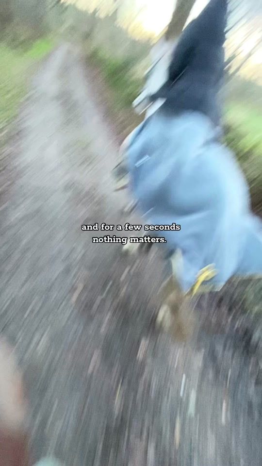 TikTok video thumbnail by rehe._.pony