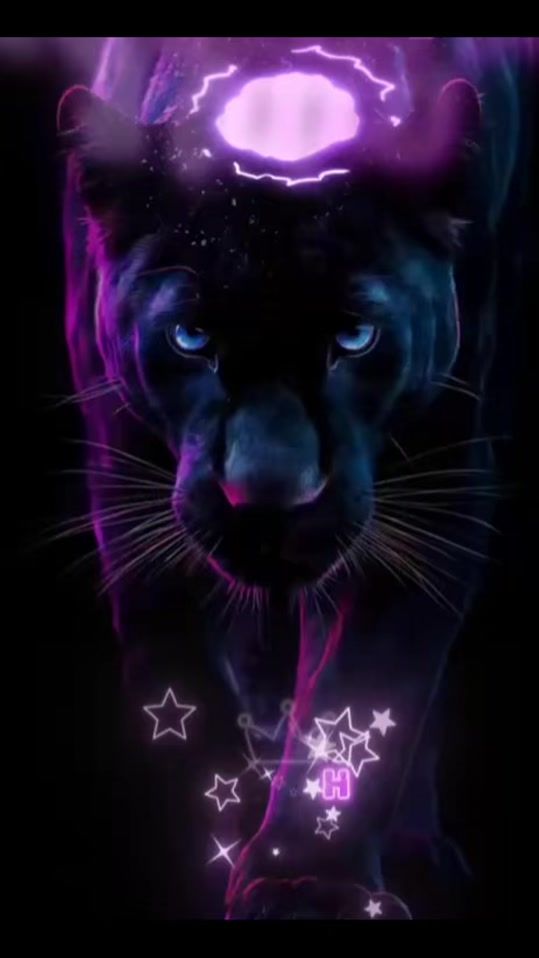 TikTok video thumbnail by marina_bilozor2