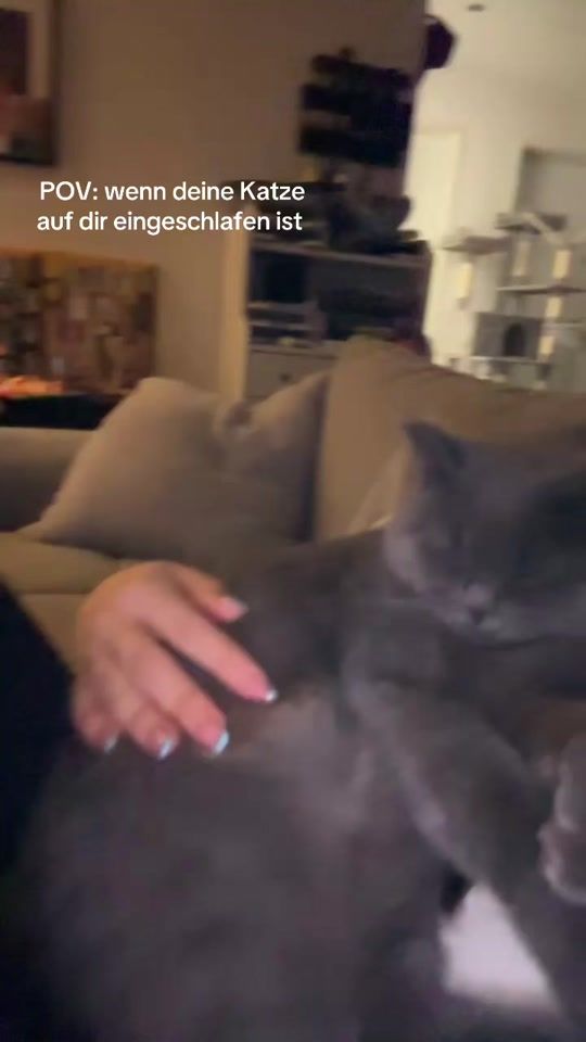 TikTok video thumbnail by nessi_2410