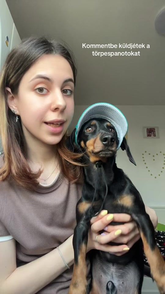 TikTok video thumbnail by nudli_dachshund