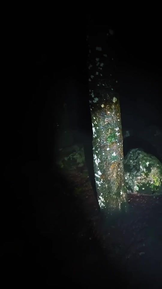 TikTok video thumbnail by breezeintheleaves