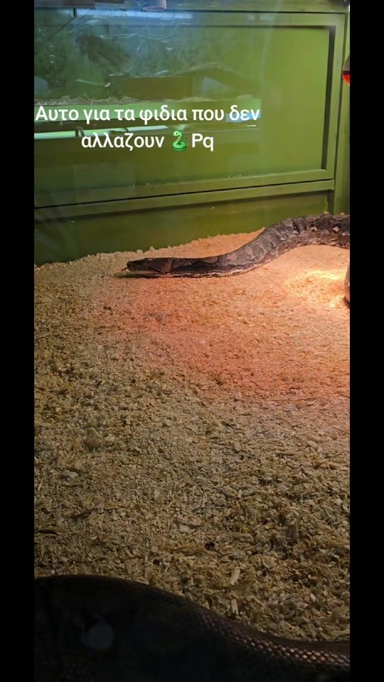 TikTok video thumbnail by champika_bandi