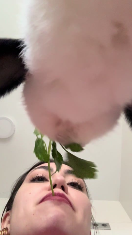 TikTok video thumbnail by rabbitsx22