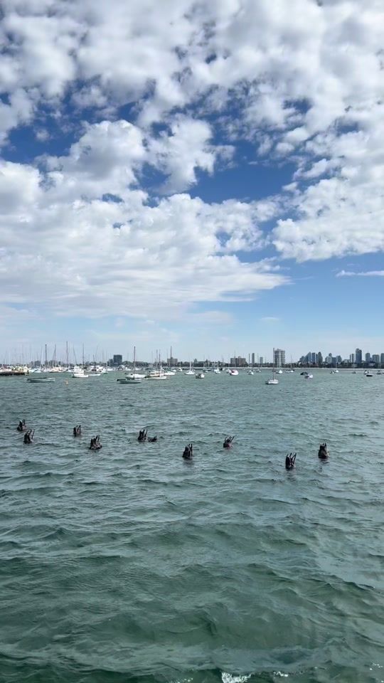 TikTok video thumbnail by thetravellingthom