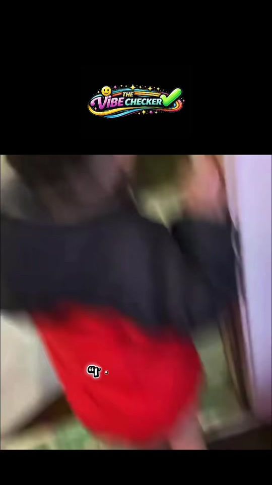TikTok video thumbnail by thevibecheckerr