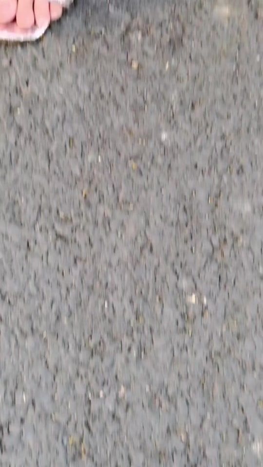 TikTok video thumbnail by sonijavad0