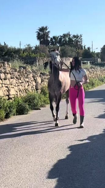 TikTok video thumbnail by chayenneazzopardi2