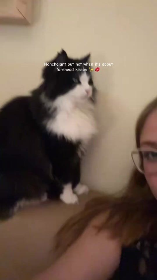 TikTok video thumbnail by vladis.ava