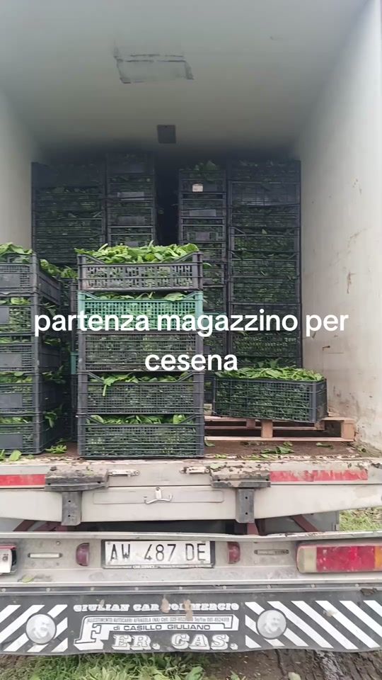 TikTok video thumbnail by mimmo115